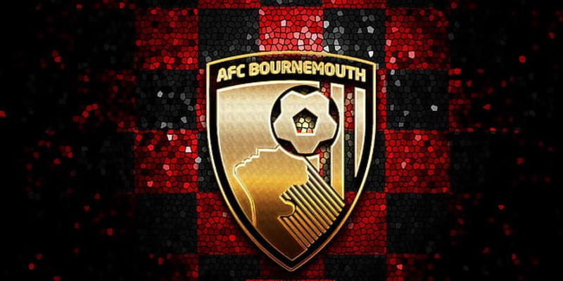 Lịch sử phát triển của AFC Bournemouth